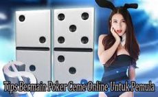 ceme online untuk pemula